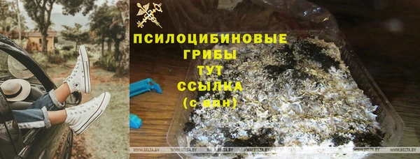 индика Верхнеуральск