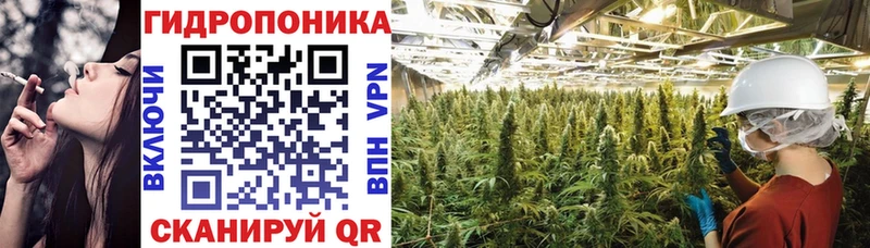 где можно купить наркотик  Тобольск  Каннабис Bruce Banner 